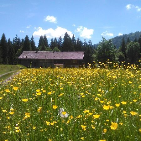 히티사우 Alpe Leckenholz 아파트 외부 사진